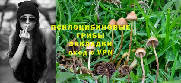 jwh Алзамай