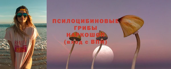 спиды Алексин