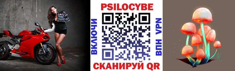 Галлюциногенные грибы Psilocybe  KRAKEN ONION  Михайловск  где можно купить  