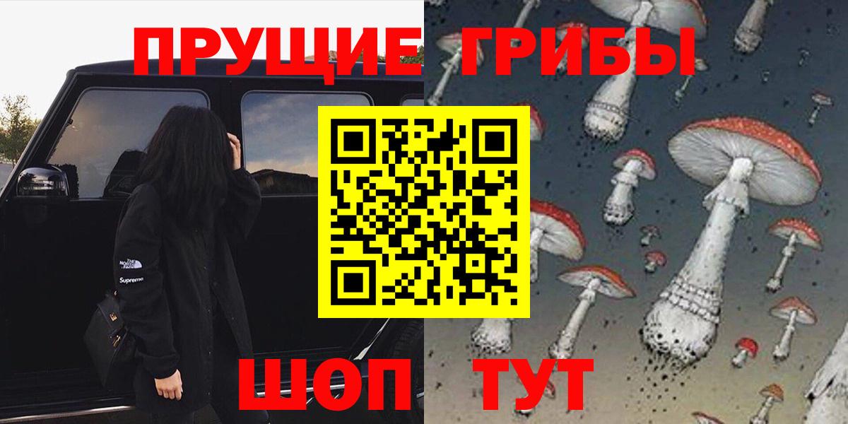 наркотики  Вход с VPN  Михайловск  Галлюциногенные грибы MAGIC MUSHROOMS 