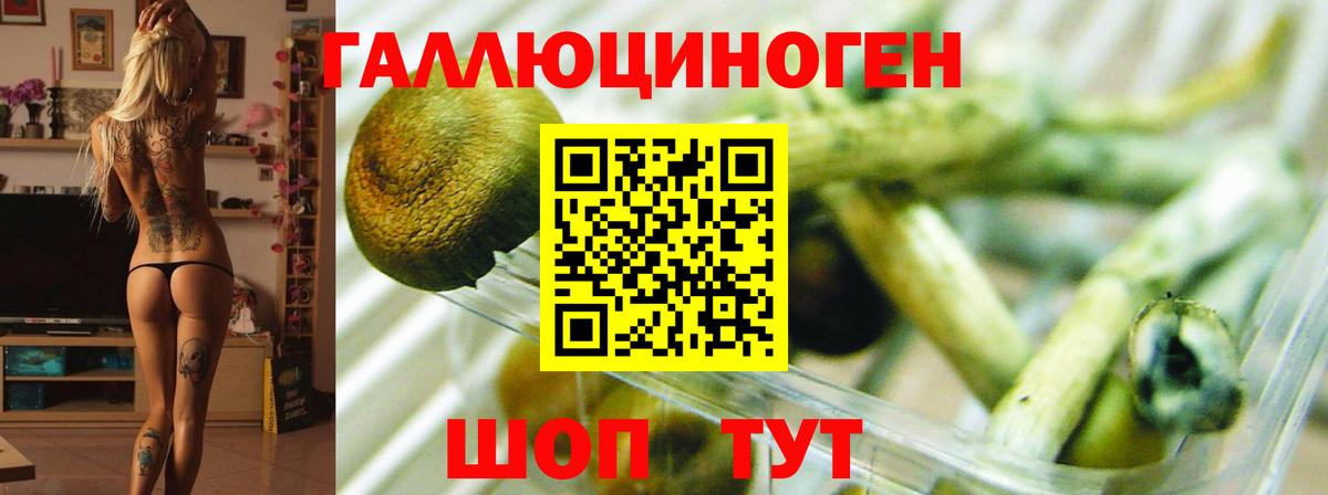 Псилоцибиновые грибы GOLDEN TEACHER Михайловск